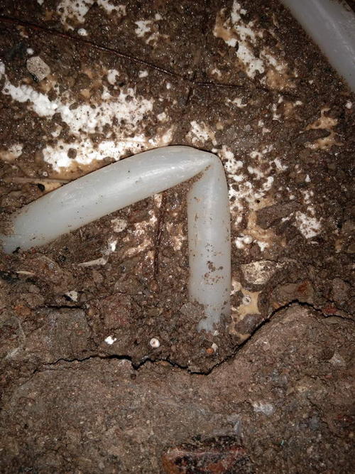 内黄堵点精准查找